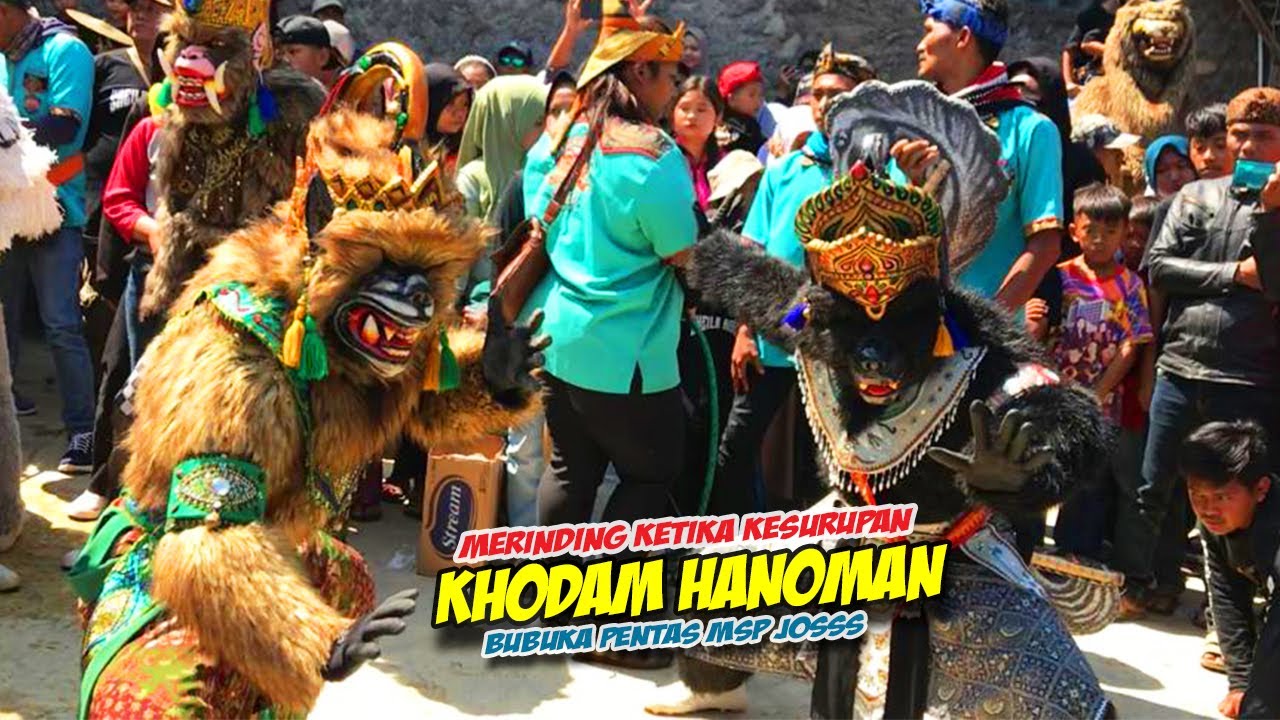 KESURUPANNYA SANG HANOMAN PATIH & JALU DI BUBUKA PENTAS ❗❗ KUDA LUMPING MSP 🔥 BARGOLA TV