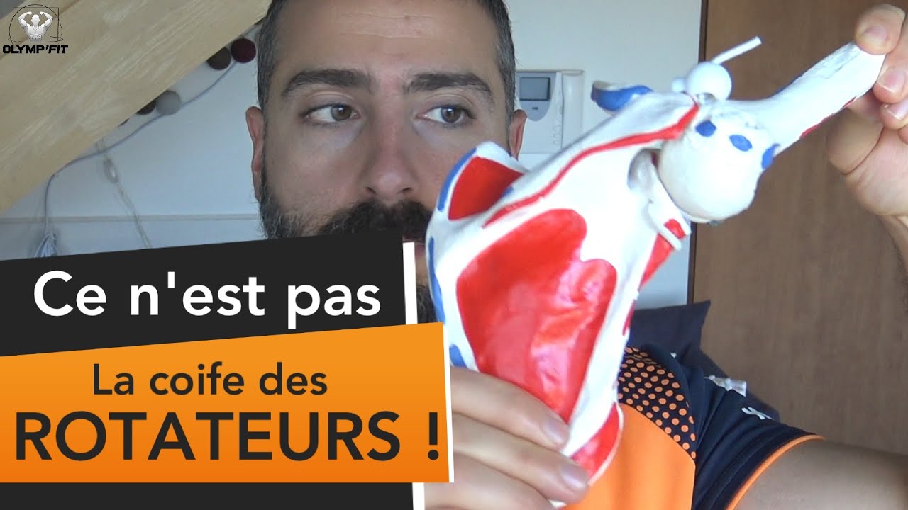 DEUX muscles OUBLIÉS de l’ÉPAULE : Grand dentelé et Trapèze inférieur [Position OverHead]