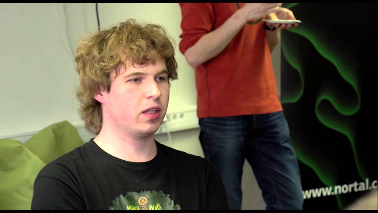 Programų sistemų studijos