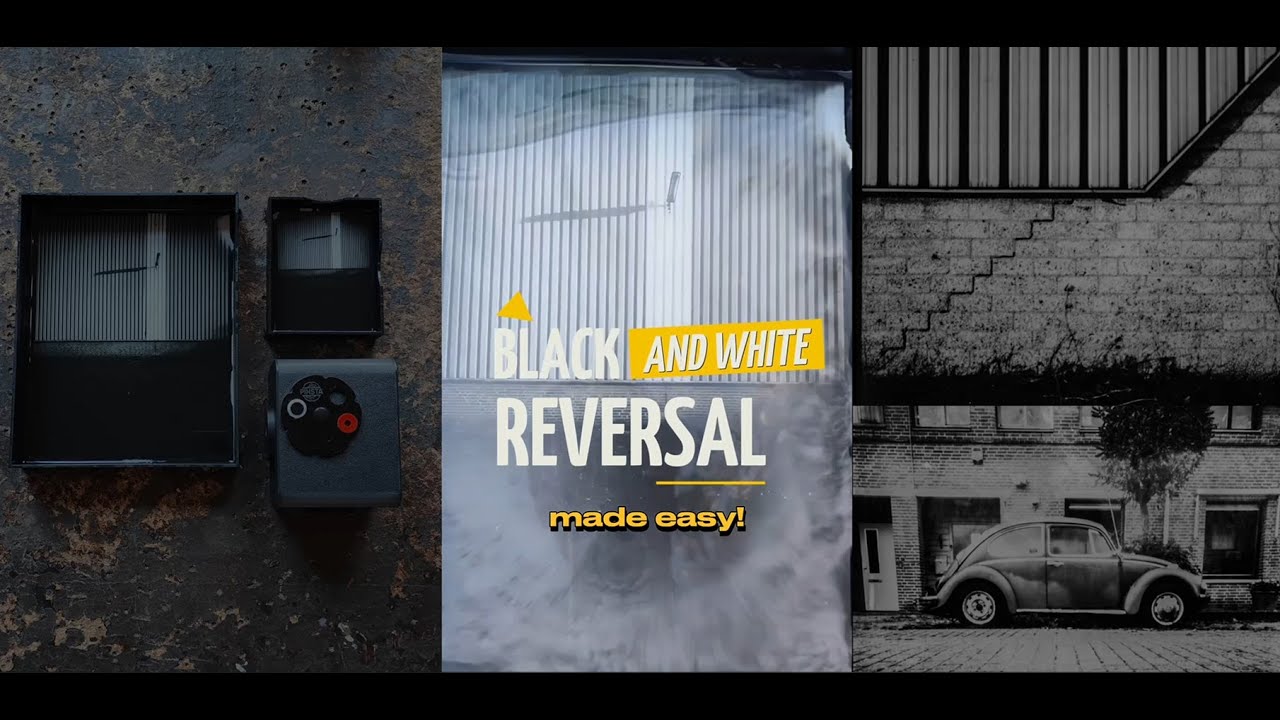 A great (and cheap!) alternative for direct positive paper - Black and white reversal -