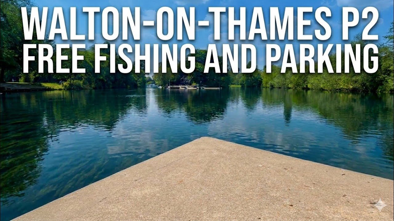 Free River Thames Barbel Carp Roach & Perch Fishing Close To Your Car Walton On Thames