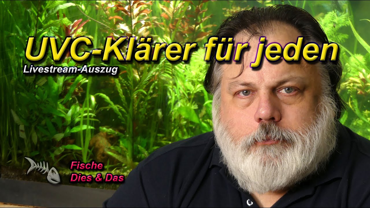 UVC-KLÄRER - Jeder sollte ein solches Gerät in seinem Aquarienschrank liegen haben