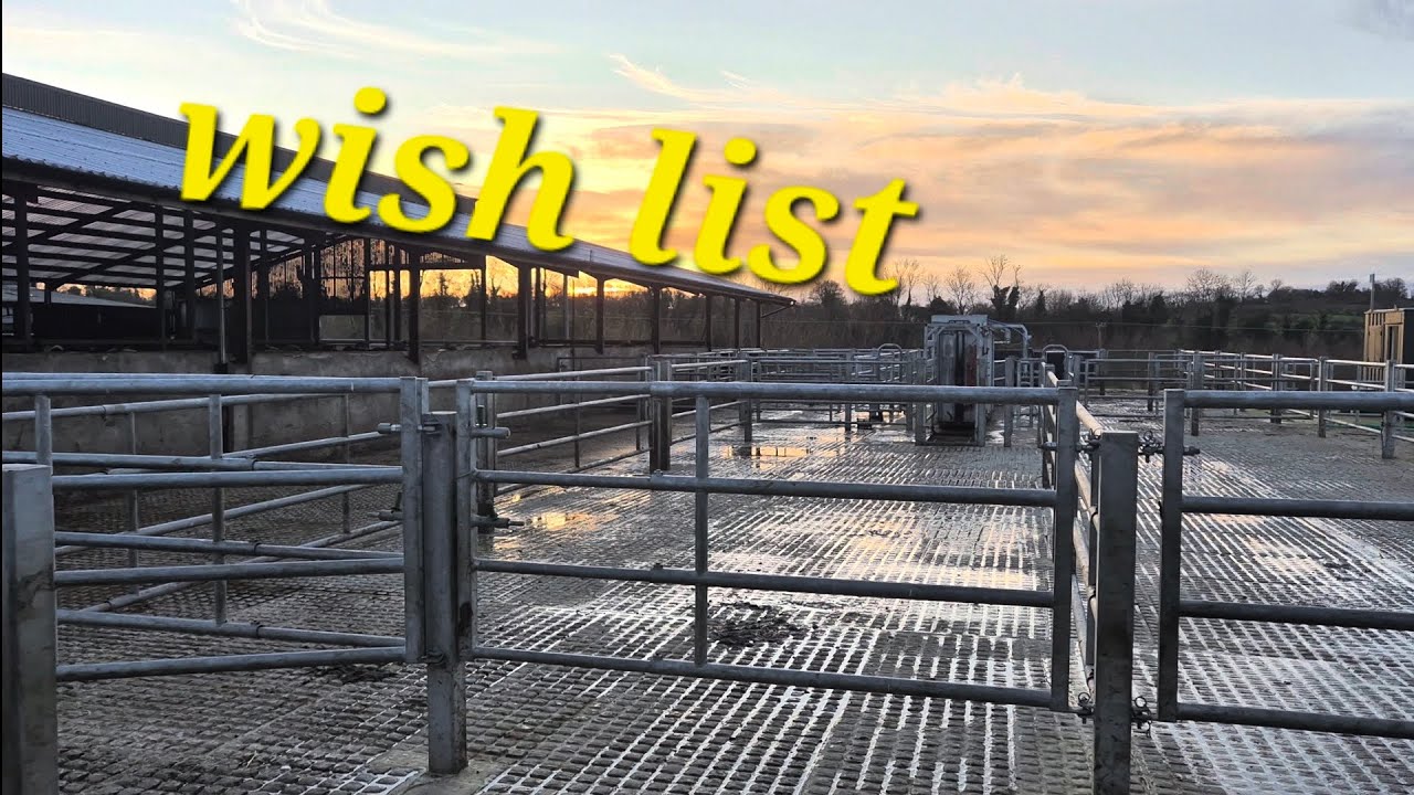 day 105. Foyle Foods feedlot tour. Cool handling facility's and sheds