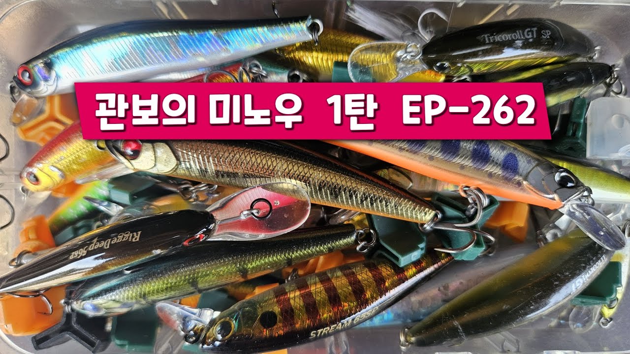 실전에서 주로 사용하는  쏘가리 미노우 리뷰  EP-262
