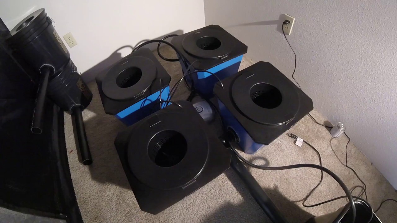 DIY Recirculating Deep Water Culture Unit