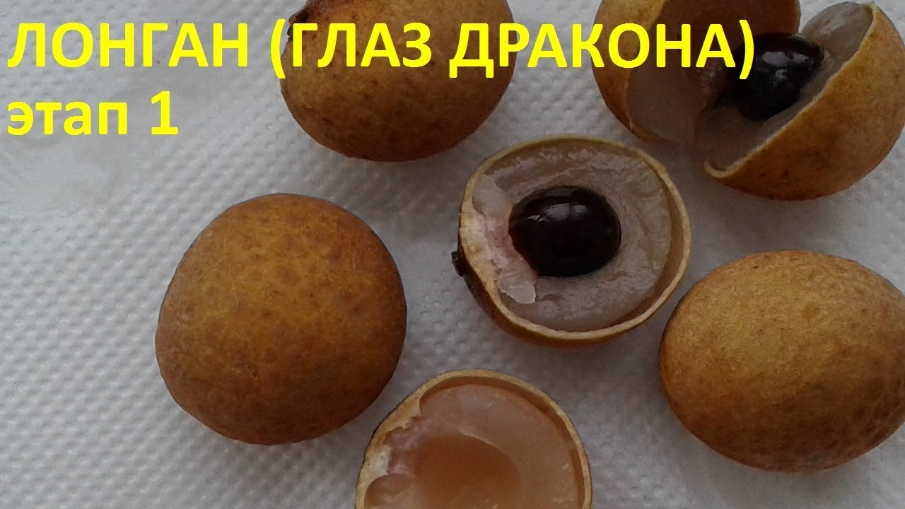 Лонган