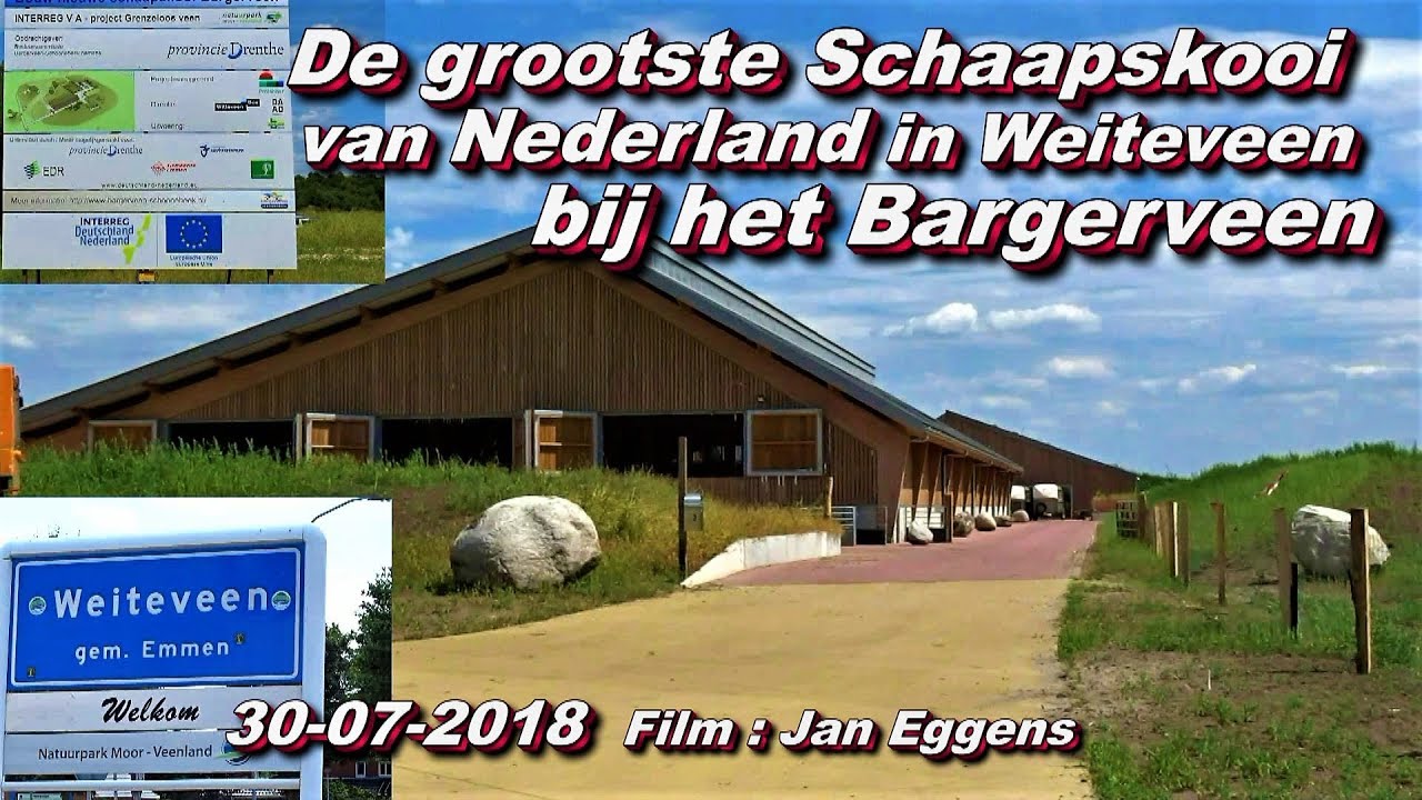De Grootste Schaapskooi van Nederland in Weiteveen bij het Bargerveen 30 07 2018