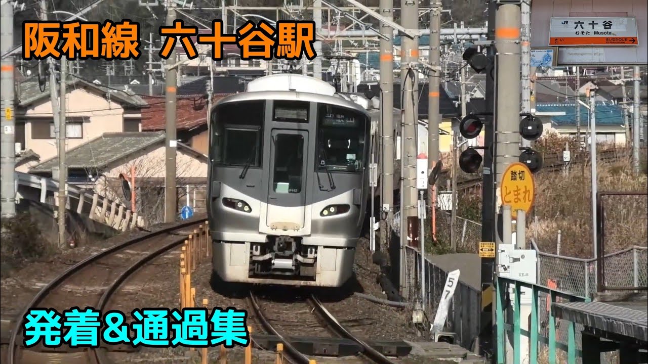 阪和線 六十谷駅 発着&通過集