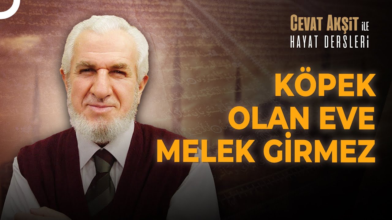 Evde Köpek Beslemenin İslam'da Yeri | Hayat Dersleri 146. Bölüm