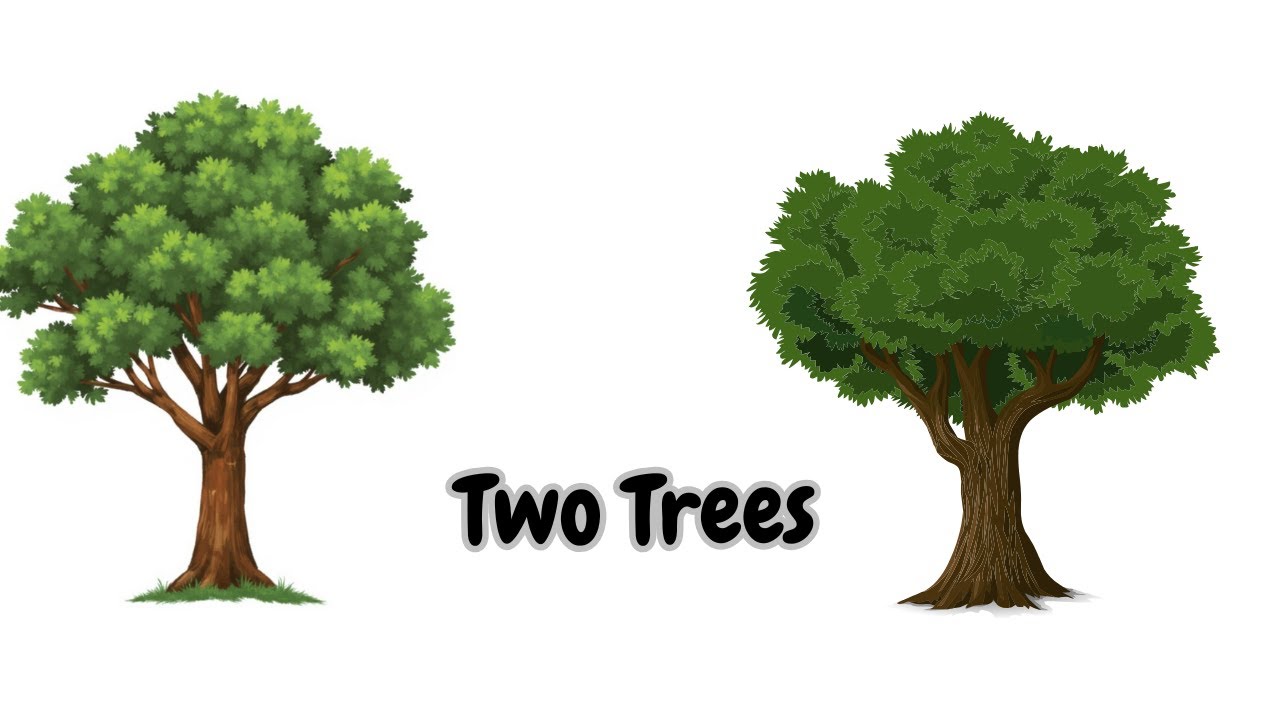 Two Trees || Two Trees Story in English || Moral Stories || 1min  || Bedtime Stories