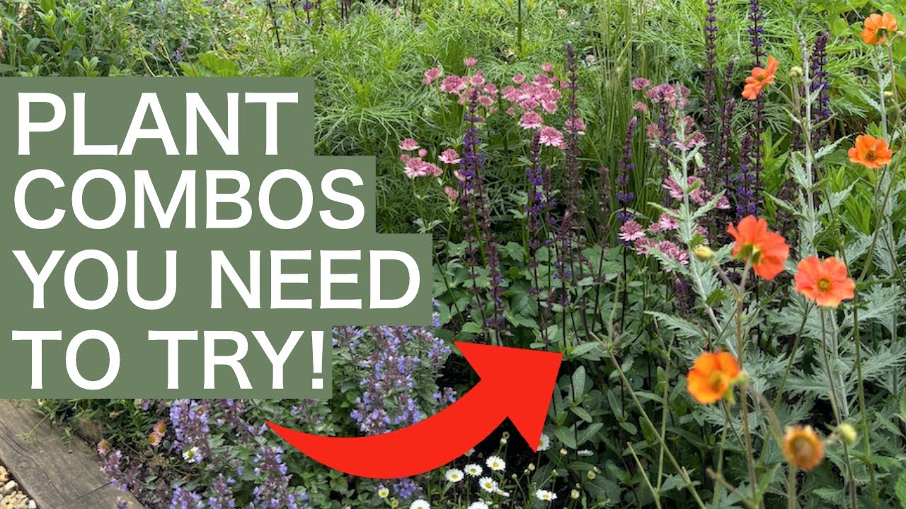 Must Have Perennial Plant Combinations For Your Garden