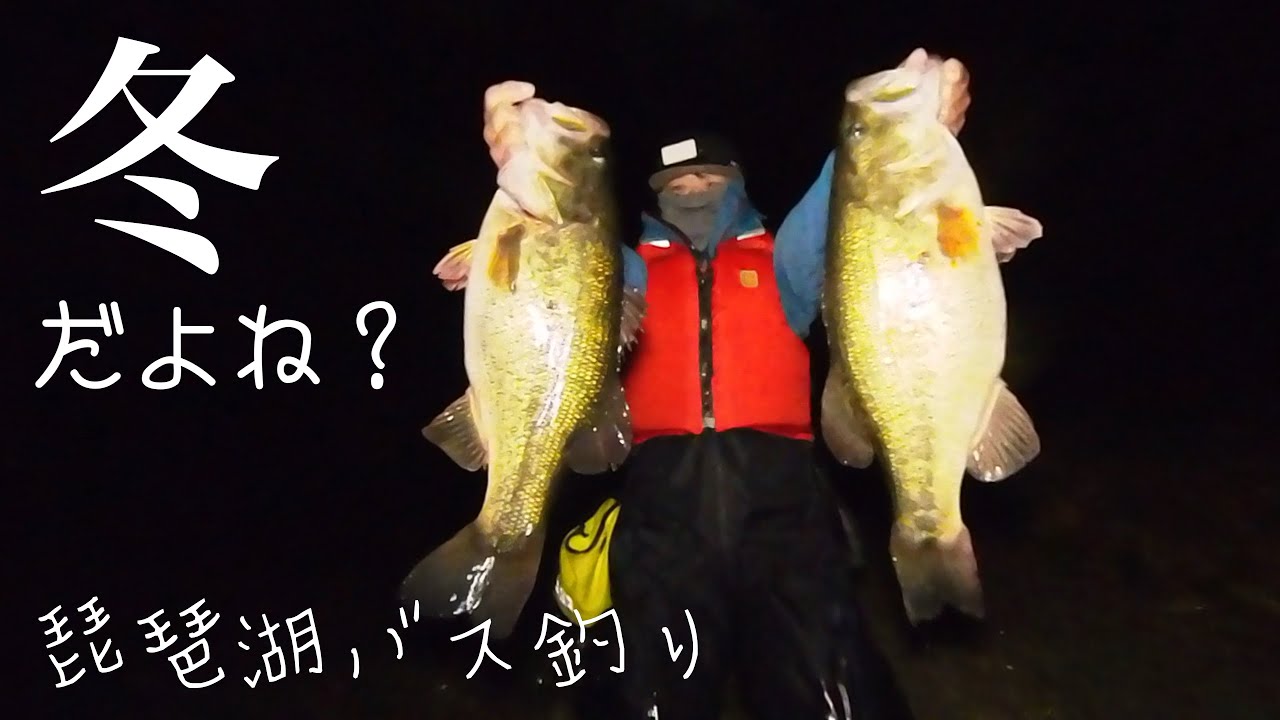 【琵琶湖バス釣り】真冬なのにめっちゃ釣れる場所 #琵琶湖バス釣り 