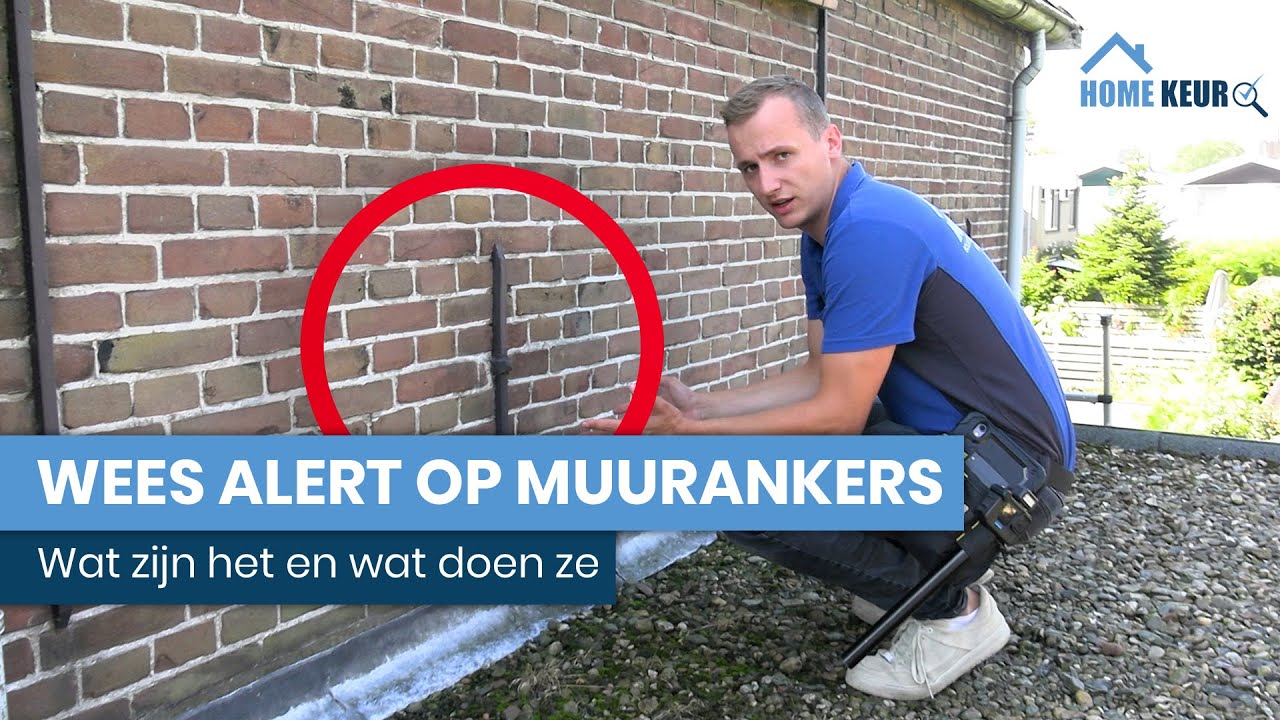 Alles over muurankers: bescherming en risico&rsquo;s voor uw woning