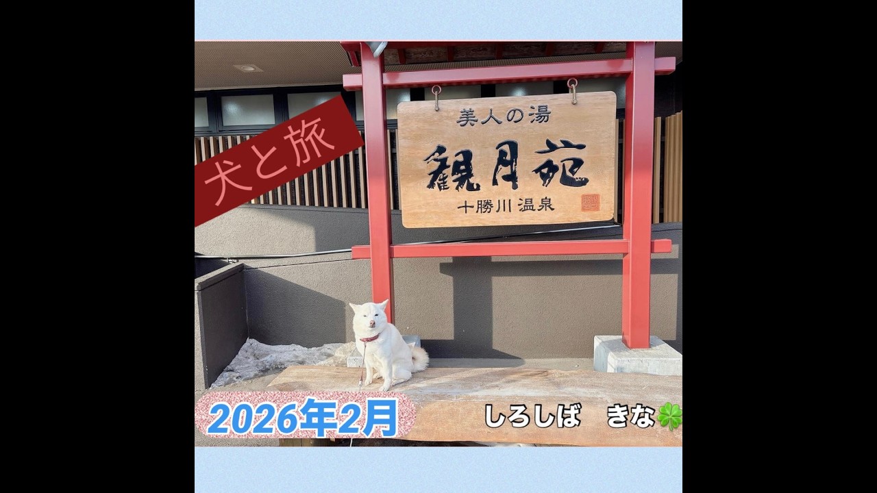 十勝川温泉　観月苑　帰りたくないしばいぬと豪華なお食事