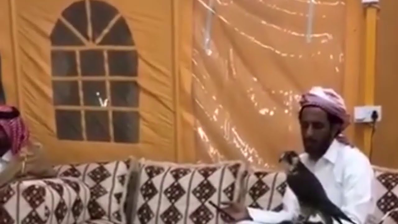 إلى من العرب ناموا بدا ليلي صالح آل مانعه