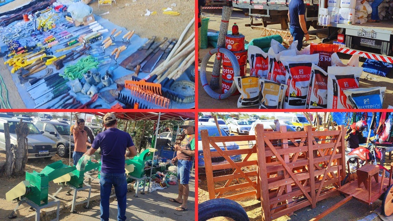 Feira agropecuária de Cachoeirinha-PE 22/01/26