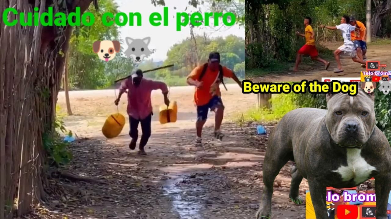 tienda cuidado con el perro 🐶🐺/ beware of the dog-cuidado com o cachorro #viral #bromas #humor