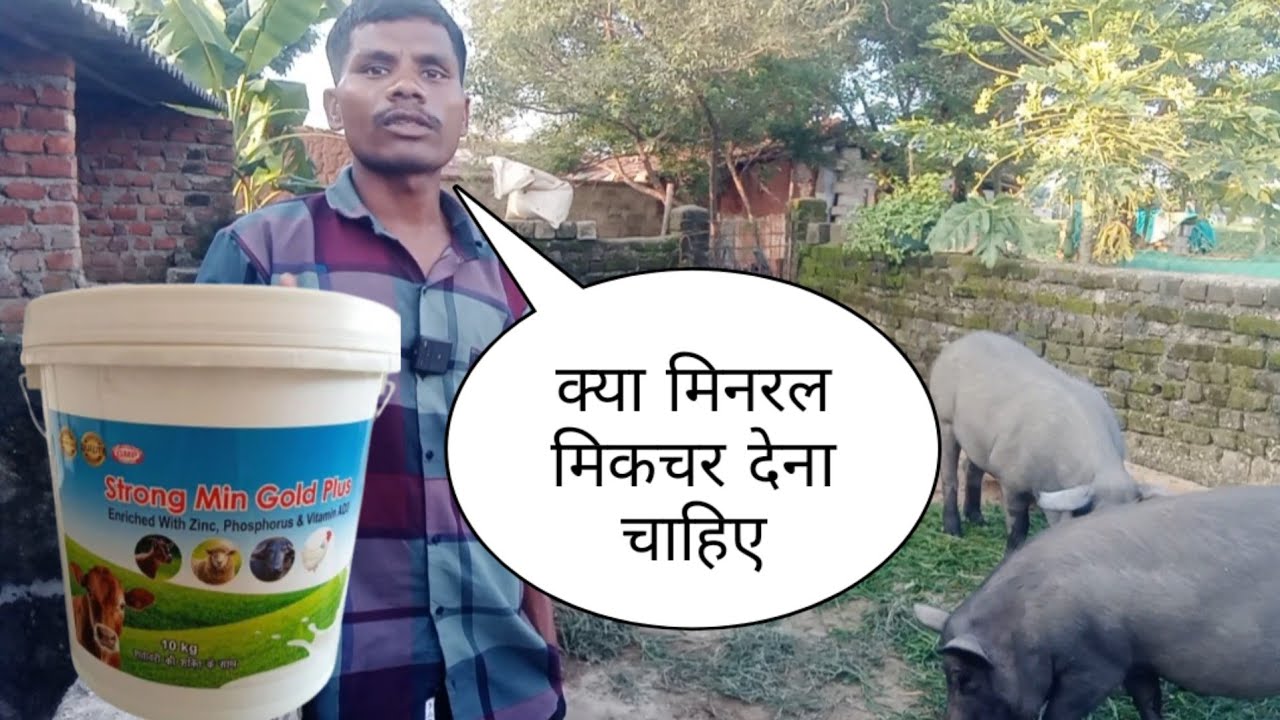 मिनरल मिक्सचर क्या होता है समझे विस्तार से