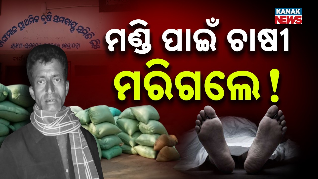 ମଣ୍ଡି ପାଇଁ ଚାଷୀ ମରିଗଲେ! Who is Responsible?  Farmer Dies After Being Crushed by Mandi Corruption
