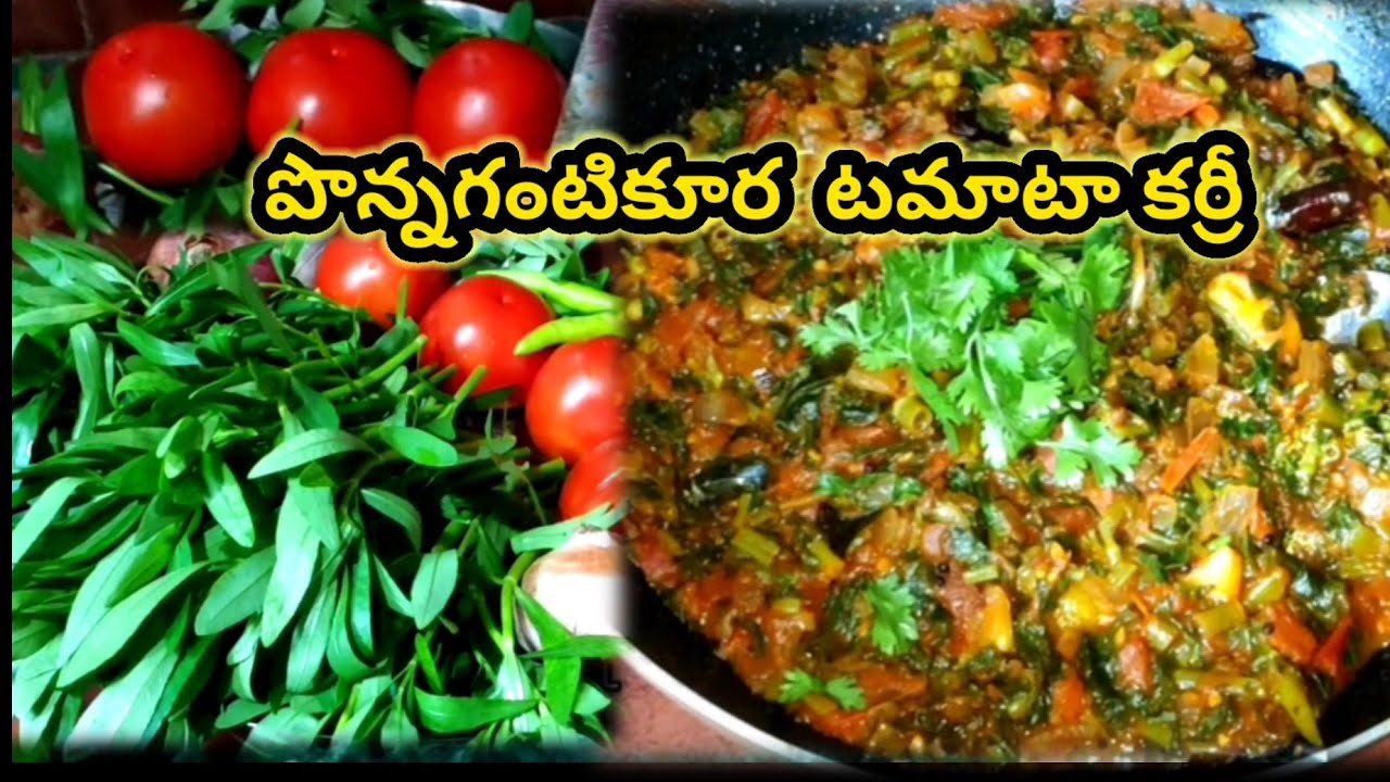 పొన్నగంటికూర టమాటా కర్రీ   