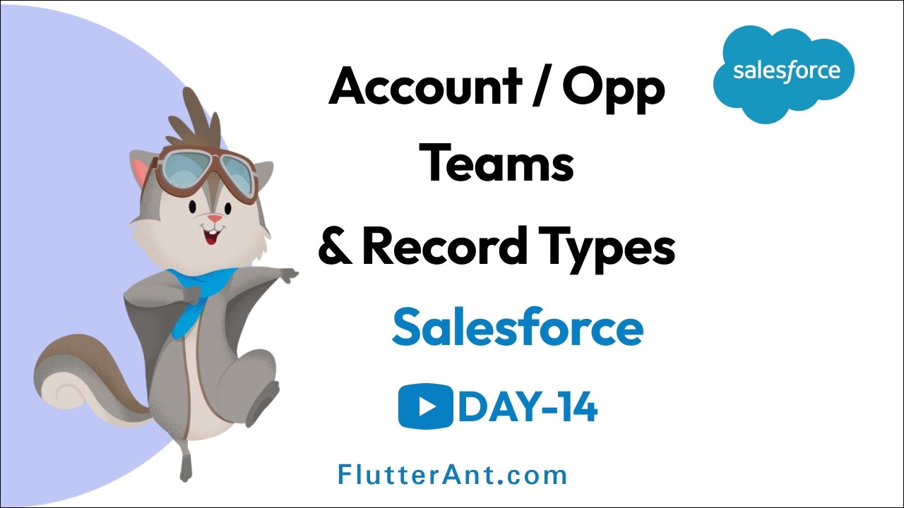 Day 14 - Salesforce Account Teams, Record Types and Dynamic Forms | Complete Guide