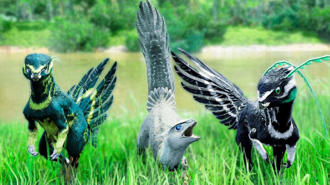 Pigeons with indigestion target local innocents