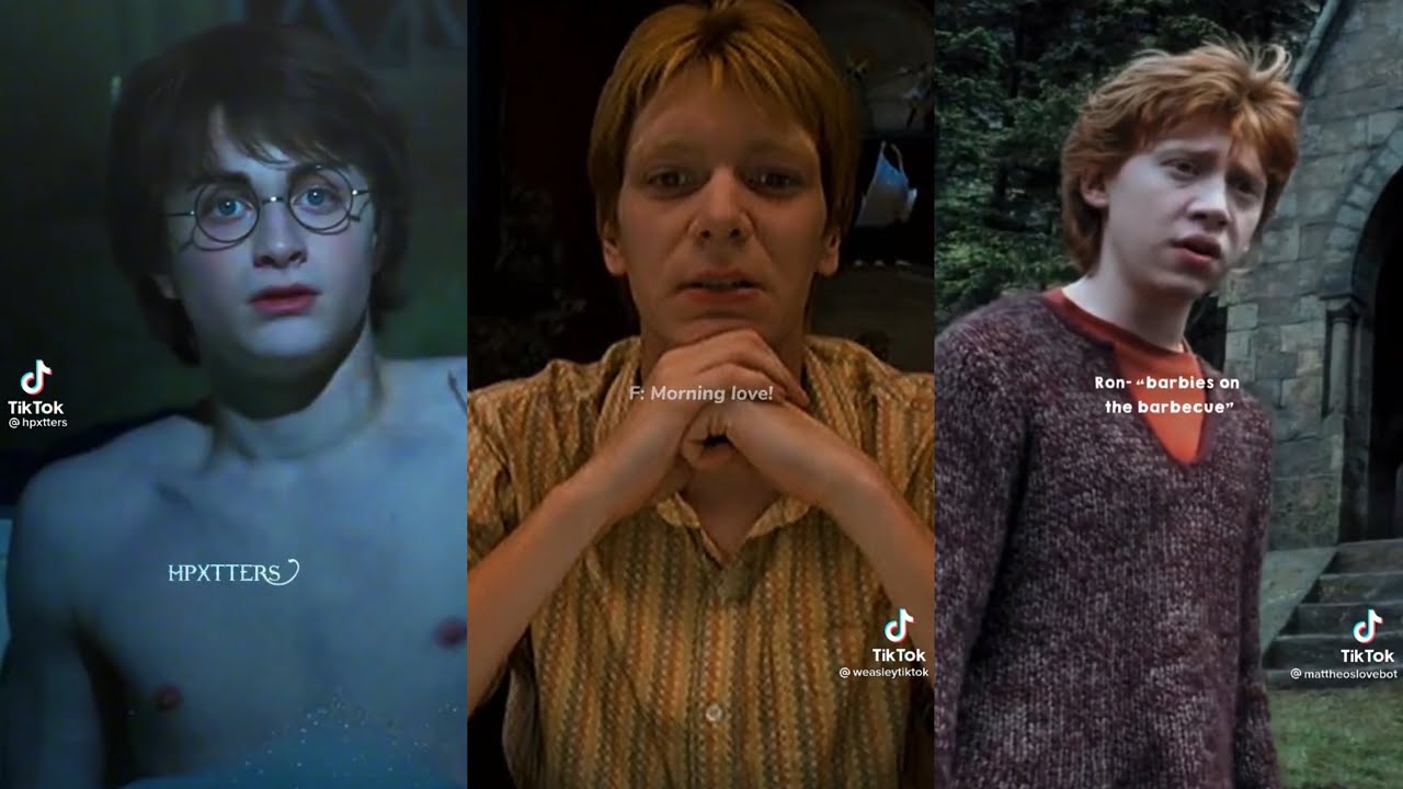 Harry Potter TikTok Compilation