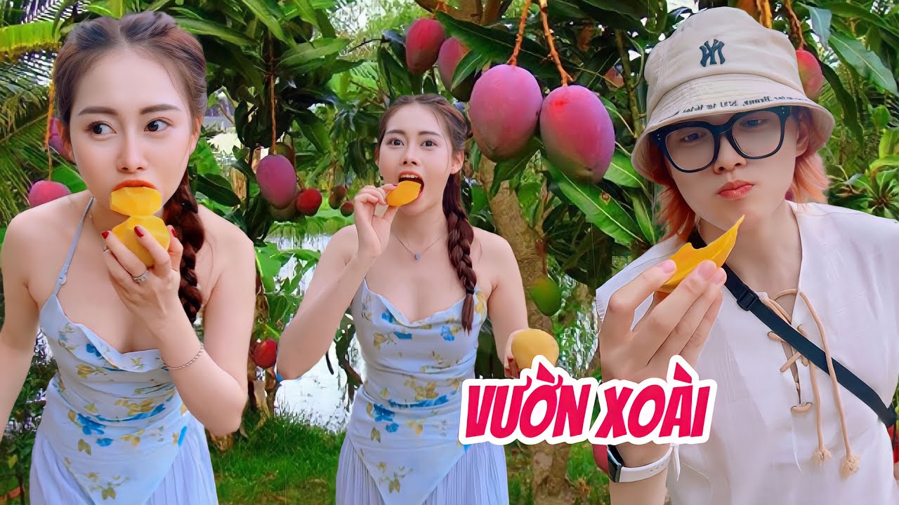 Ăn Thả Ga Tại Vườn Xoài Quá Đã #tiktok #vietphuongthoa #trendtiktok