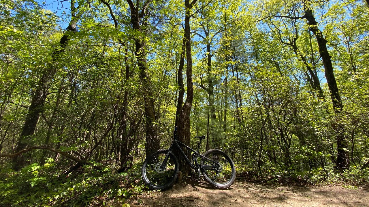 Bull Mountain Mountain Bike Trail, Dahlonega, Georgia