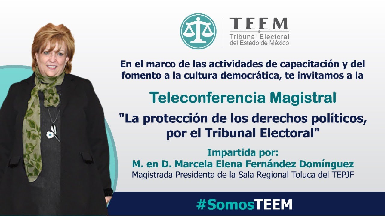 La protección de los derechos políticos, por el Tribunal Electoral