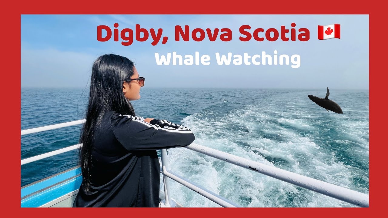 Digby Whale Watching 🇨🇦🍁 #novascotia #canada #whalewatchingtour #trending #travel