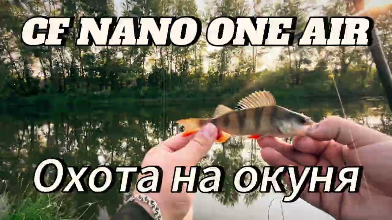 Охота на ОКУНЯ на небольшом ерике. Рыбалка на CF Nano One Air