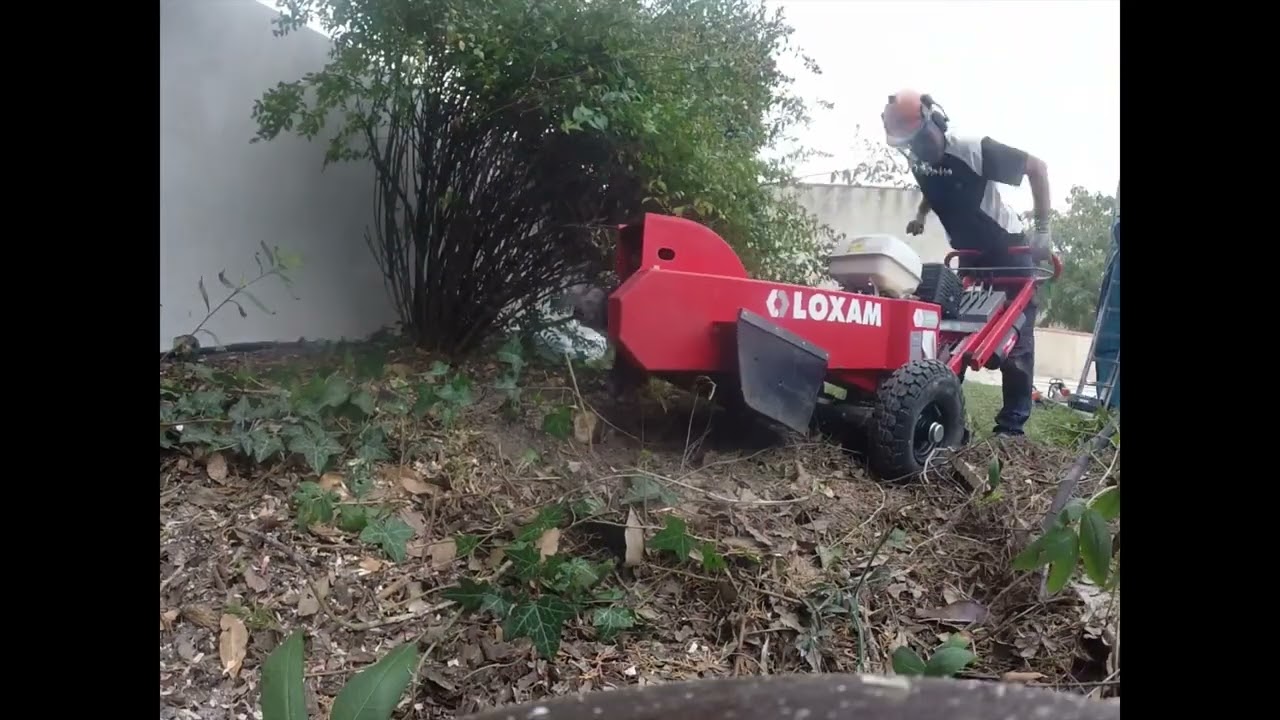Rognage de souche. A l'aide d'une rogneuse de chez Loxam.Simple efficace.EPI fortement conseillé.