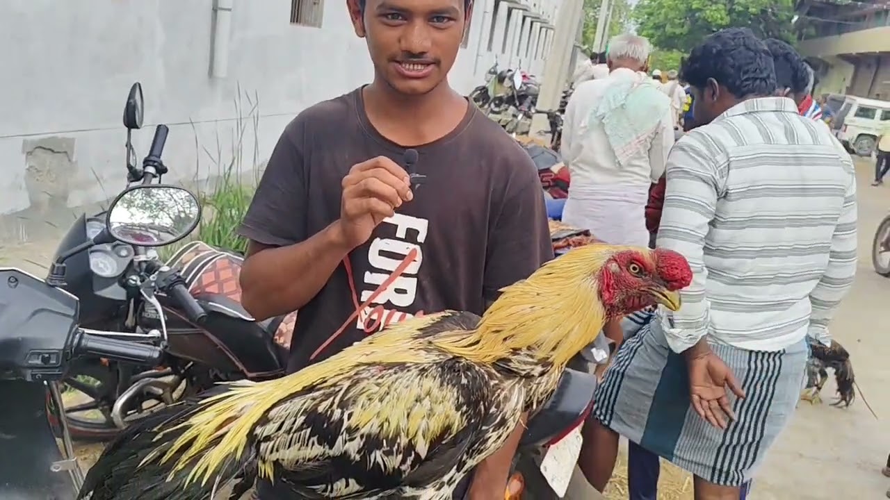Anantapur market