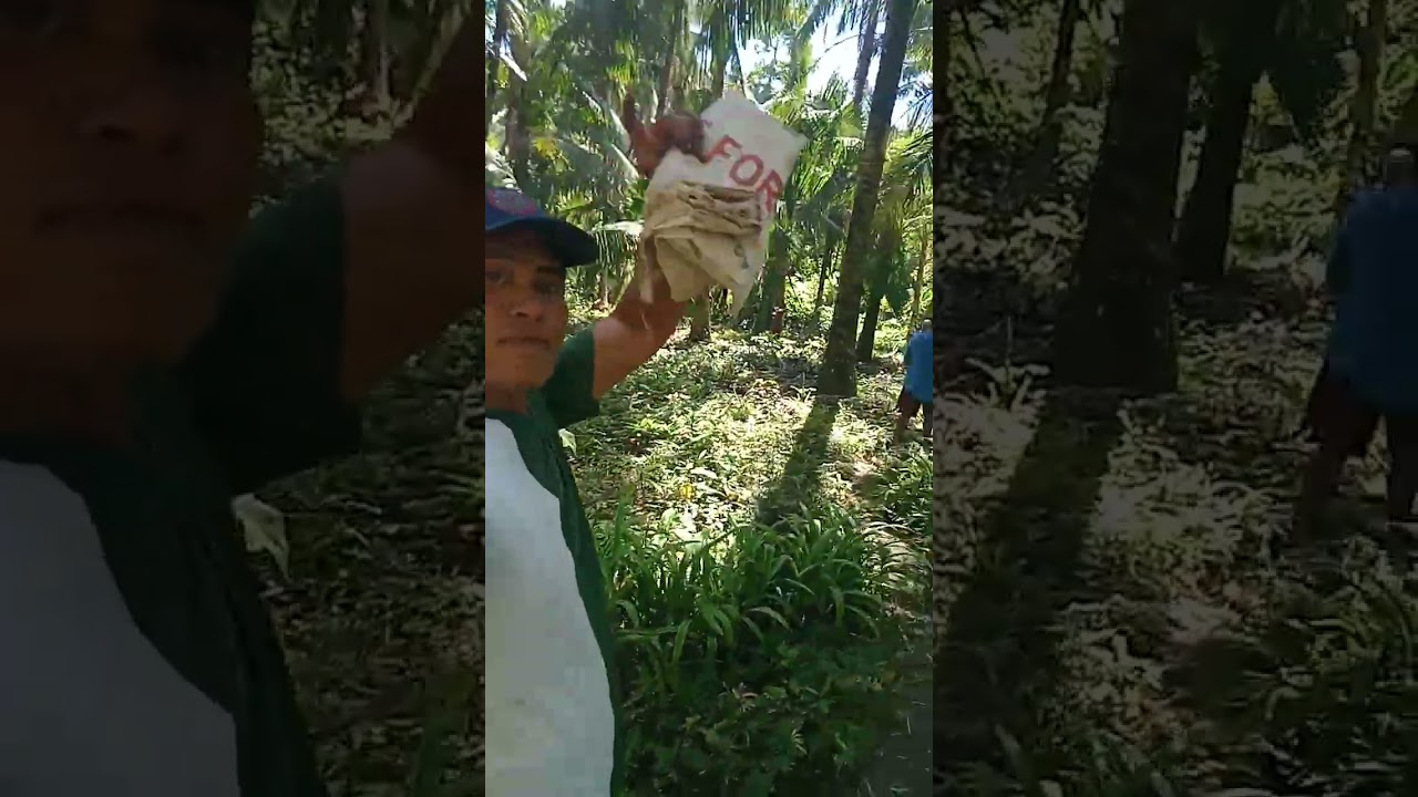 My daily life manguha naman tayo namo guy's part1