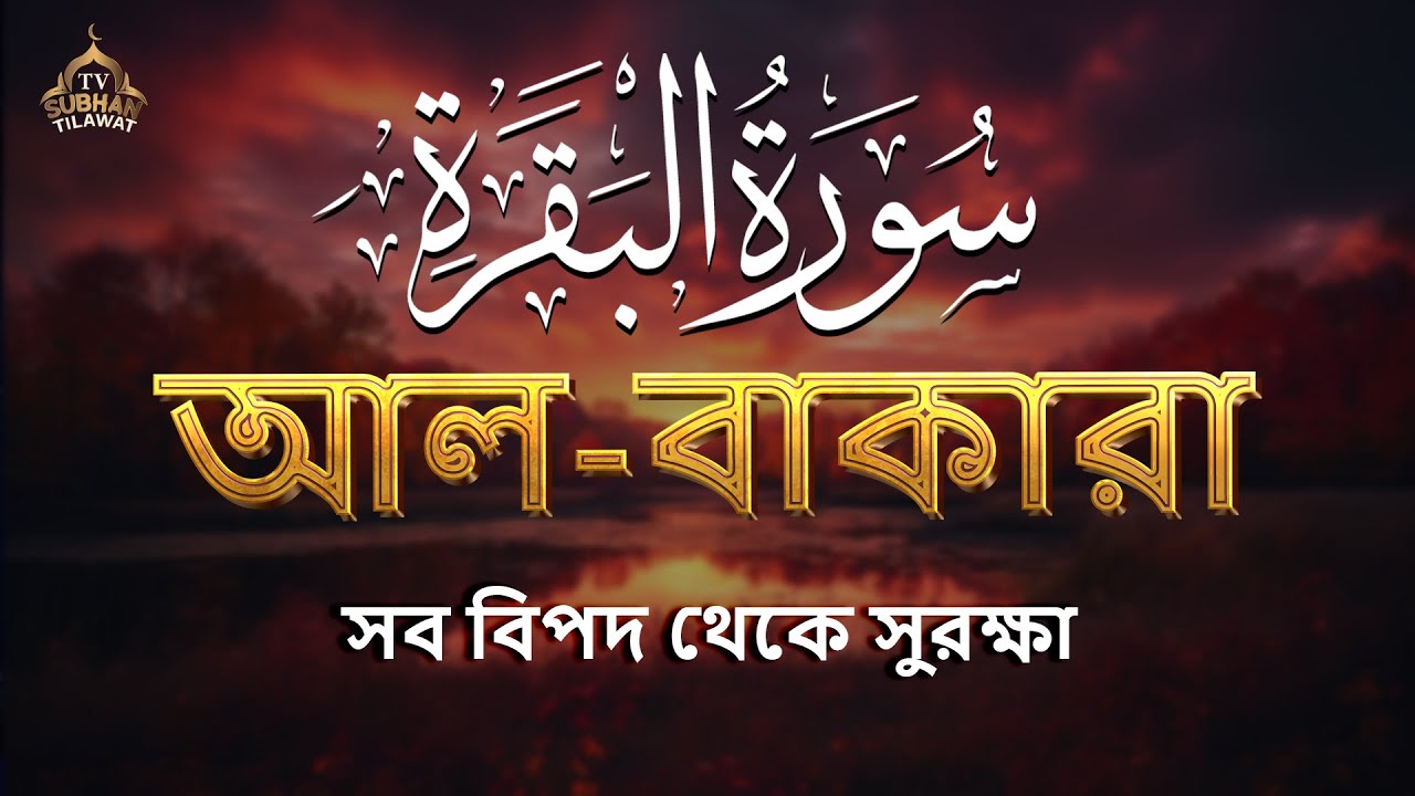 সবচেয়ে হৃদয়স্পর্শী সূরা বাকারা তেলাওয়াত 🌿 কুরআনের আলো ও শান্তির বার্তা | Surah Al Baqarah 💖