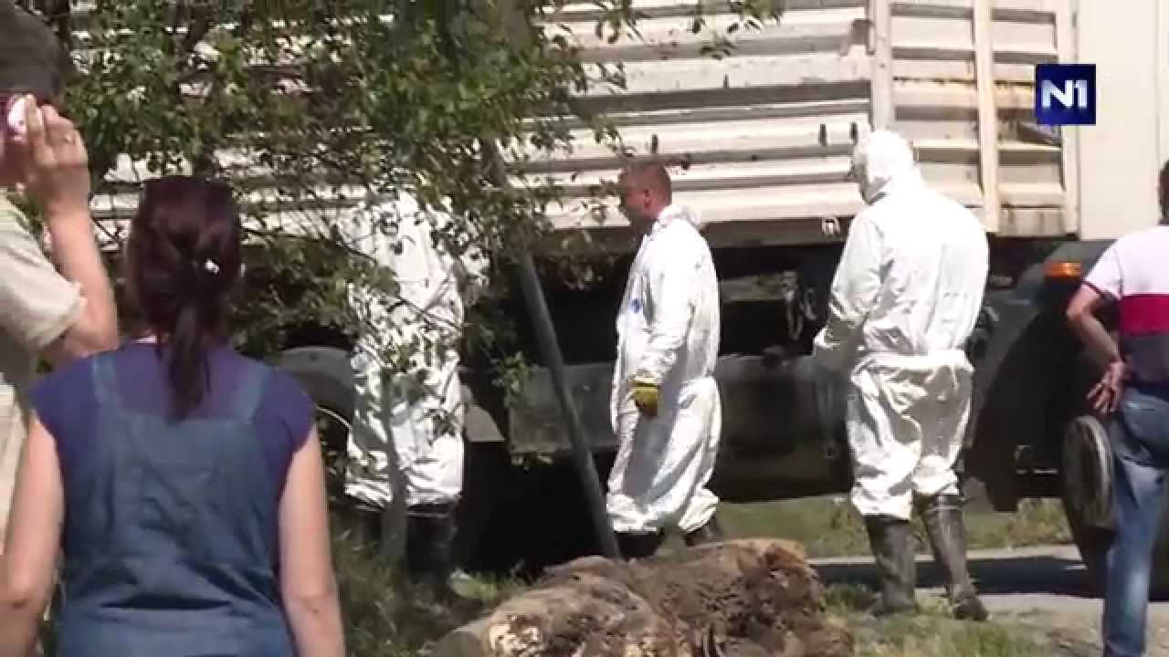 Poplave u regionu: Obrenovac - sudbine ljudi