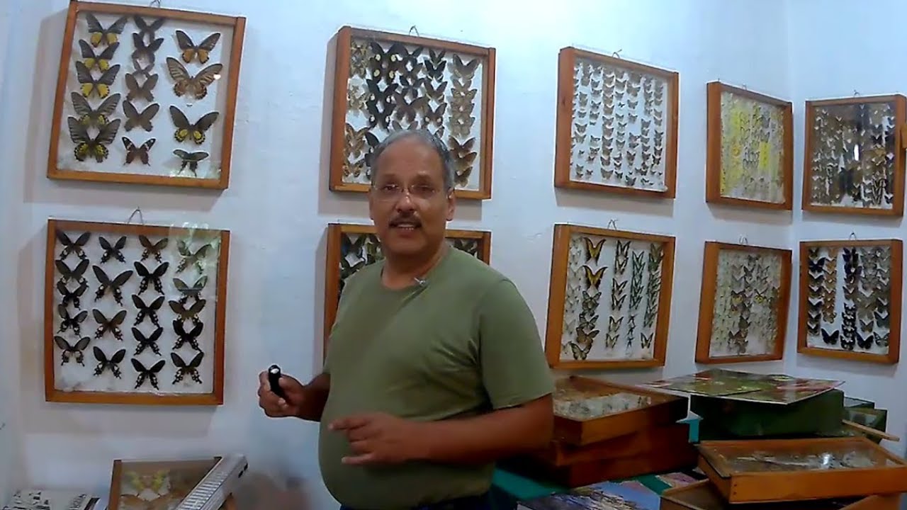 Butterfly Research Centre