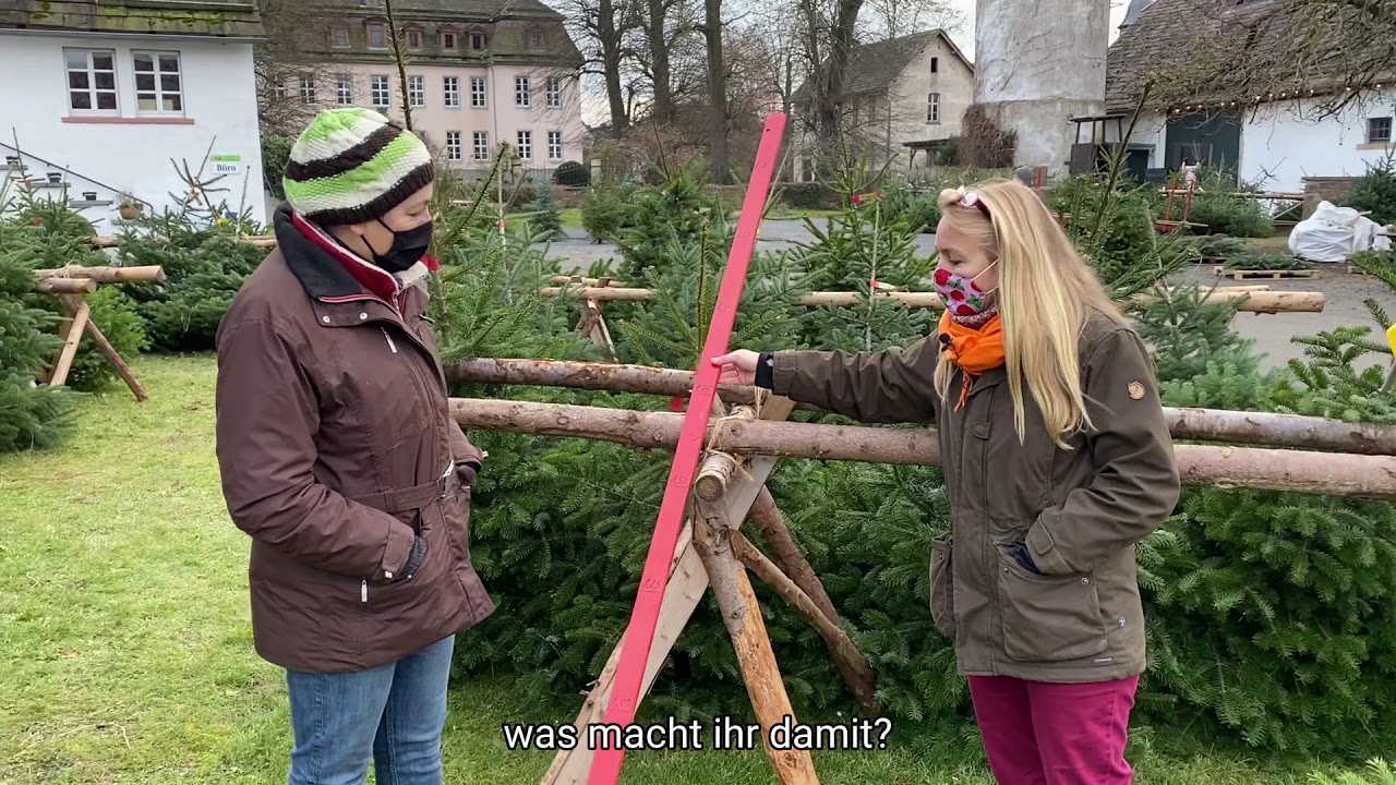 Weihnachtsbaum-Lieferservice.  Bis zu 25 Kilometer im Umfeld von Meinbrexen - Rittergut Meinbrexen