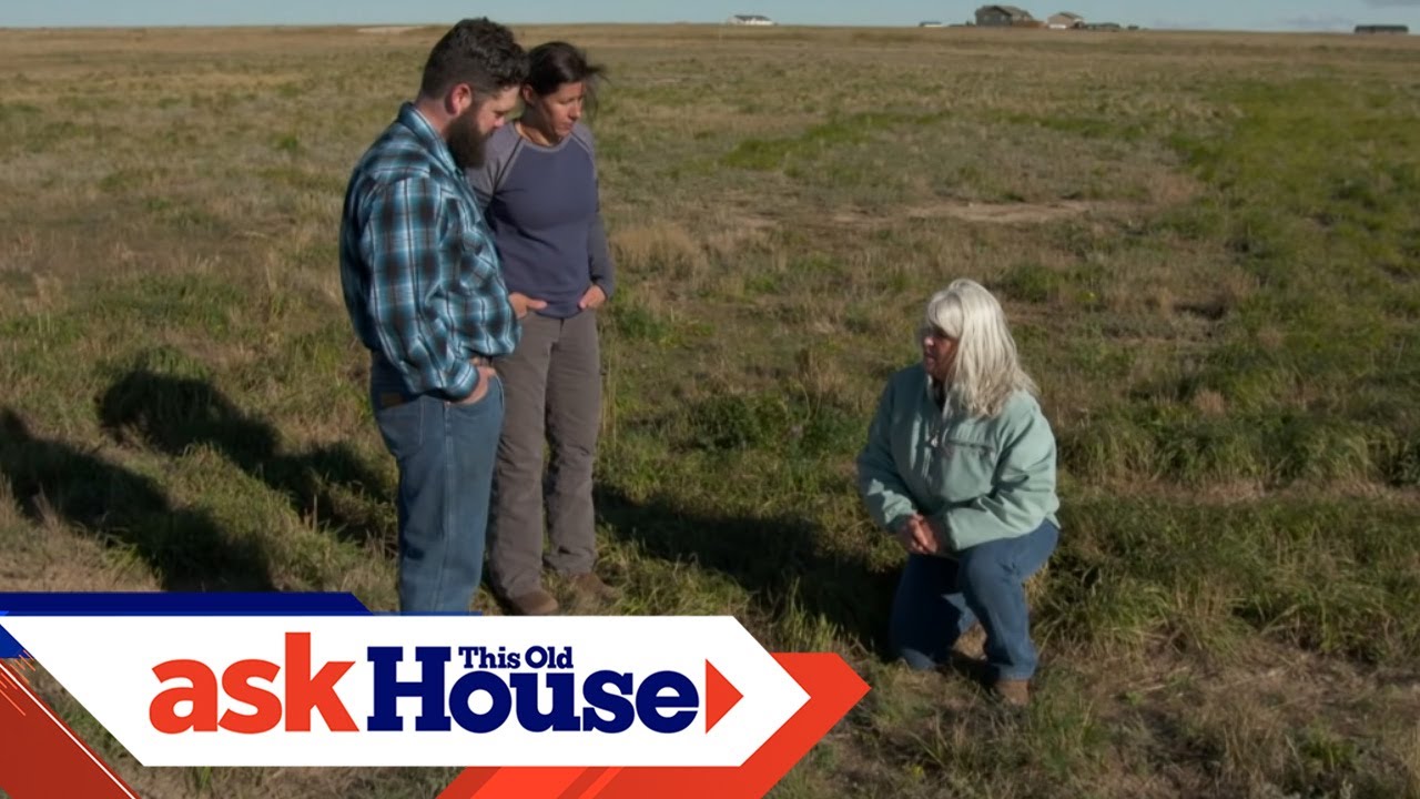 How to Grow Grasses on the Prairie | Ask This Old House
