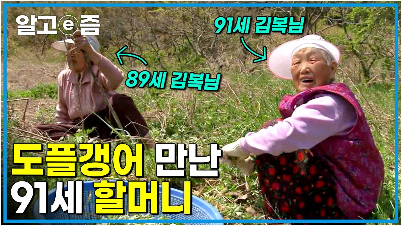 작은 시골 마을에 이름부터 취미까지 똑같은 할머니가 둘?! 정과 사랑이 넘치는 91세 할머니가 건강하게 사는 법┃장수가족 건강의 비밀┃알고e즘