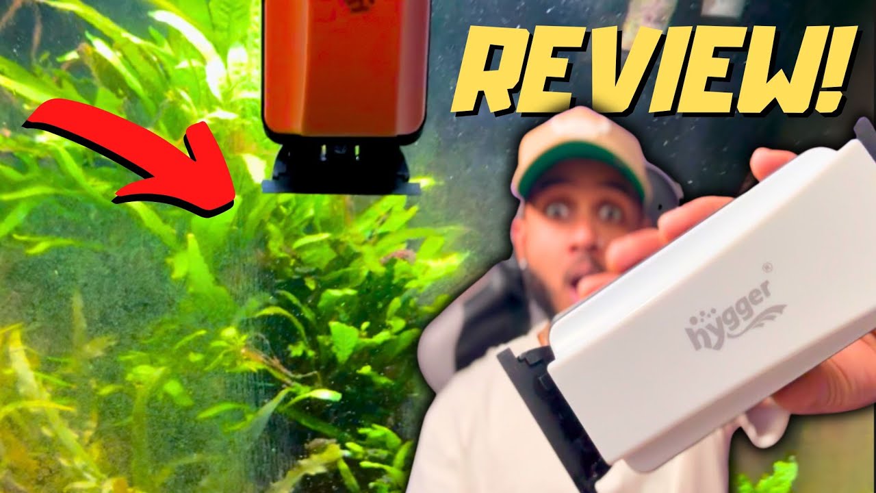 The Best Tool Against Algae? Hygger Magnetic Glass Cleaner Review!