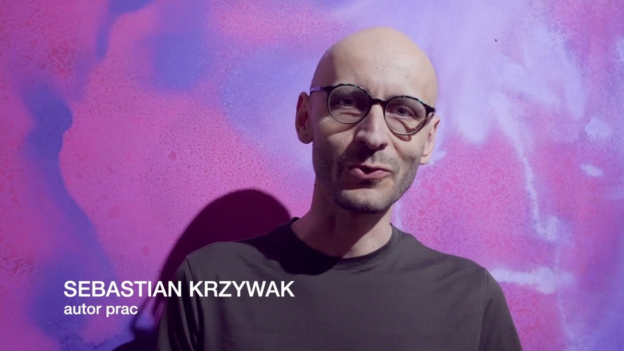 Sebastian Krzywak. Znikanie.