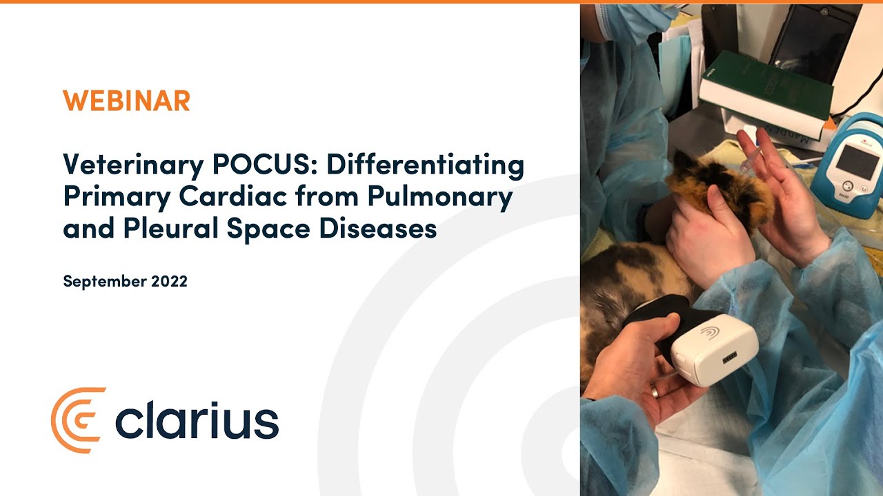 Veterinary POCUS: Differentiating Primary Cardiac from Pulmonary and Pleural Space Diseases