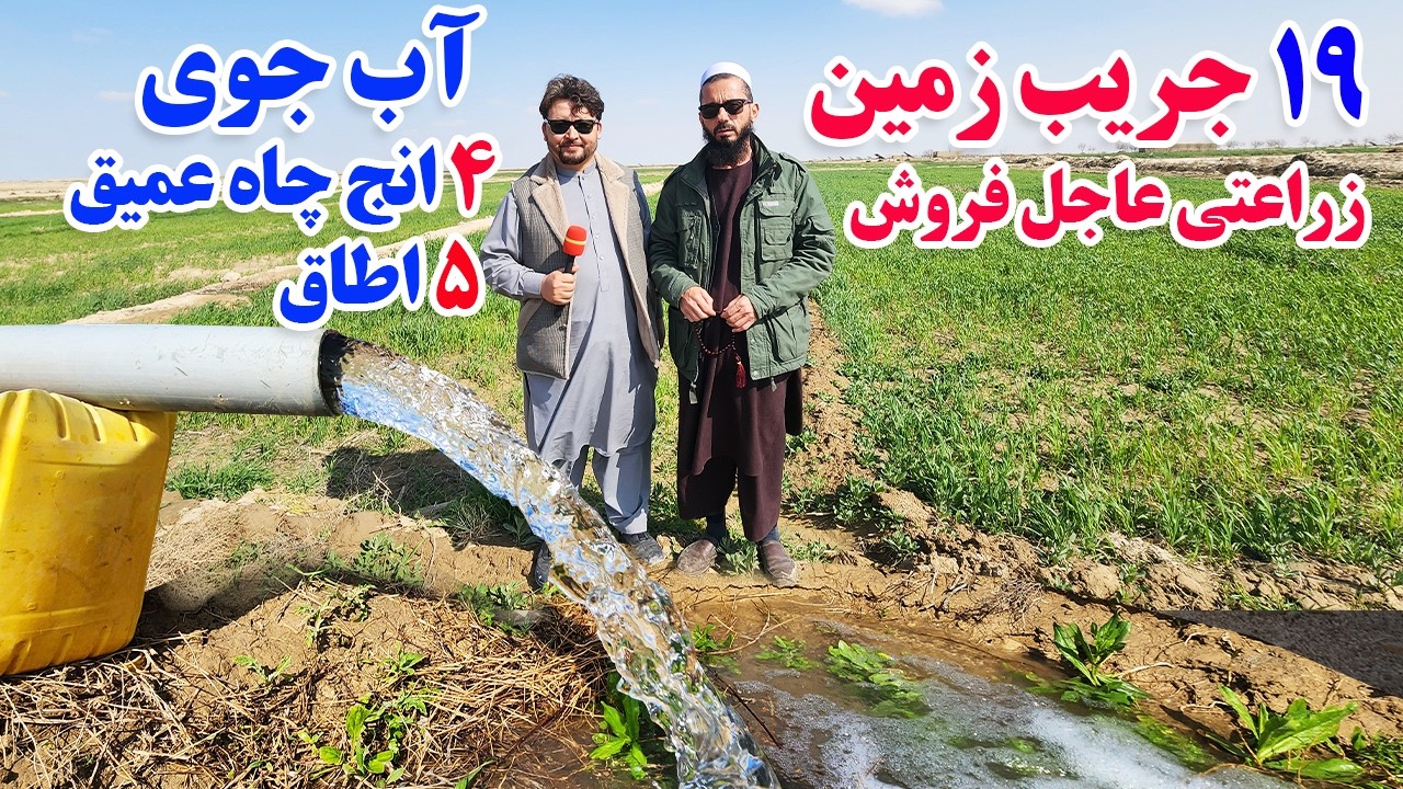 گزارش افغان تاپ:19 جریب زمین زراعتی عاجل فروش،آب جوی،4 انج چاه عمیق،اسناد پاک،5اطاق،afghan top