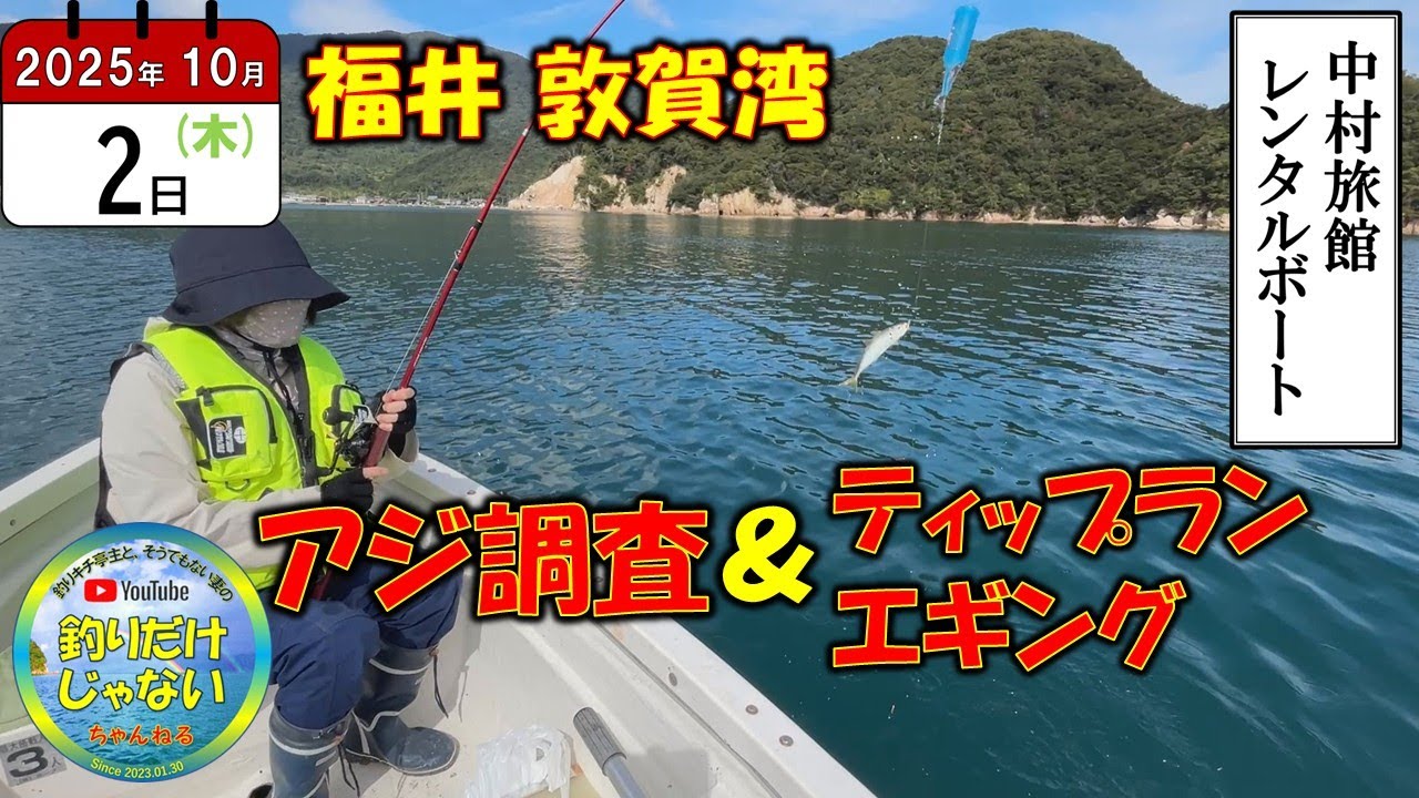 【2025年10月】敦賀湾ボート釣り。アジの調査とティップランエギング。帰り道は「相木魚問屋」でお土産ゲット