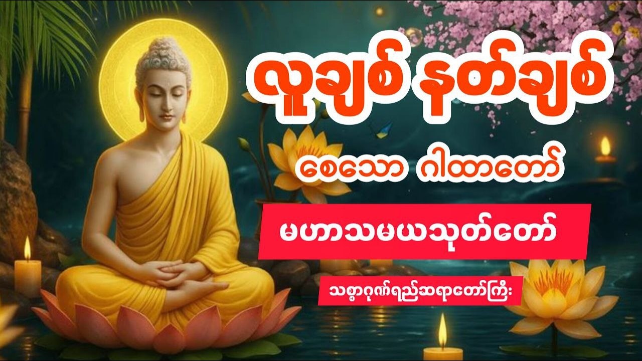 #တရားတော်များ