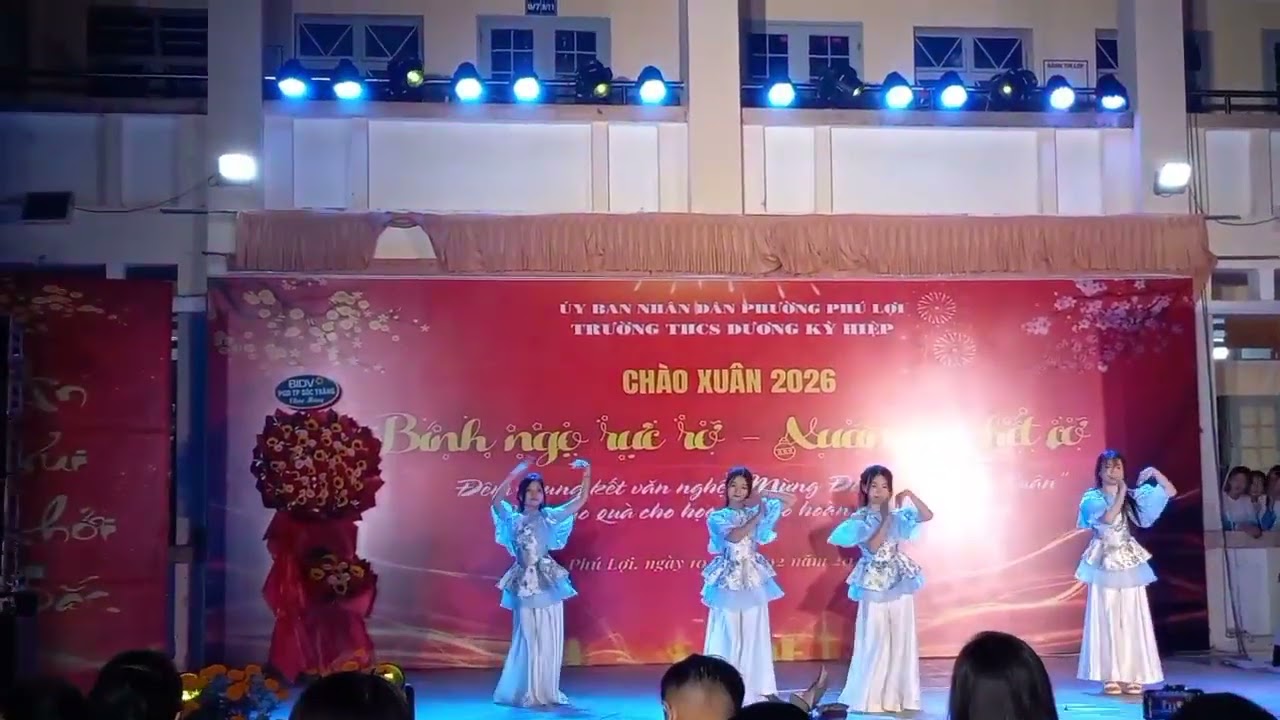 Mèo Xuân 2026-02