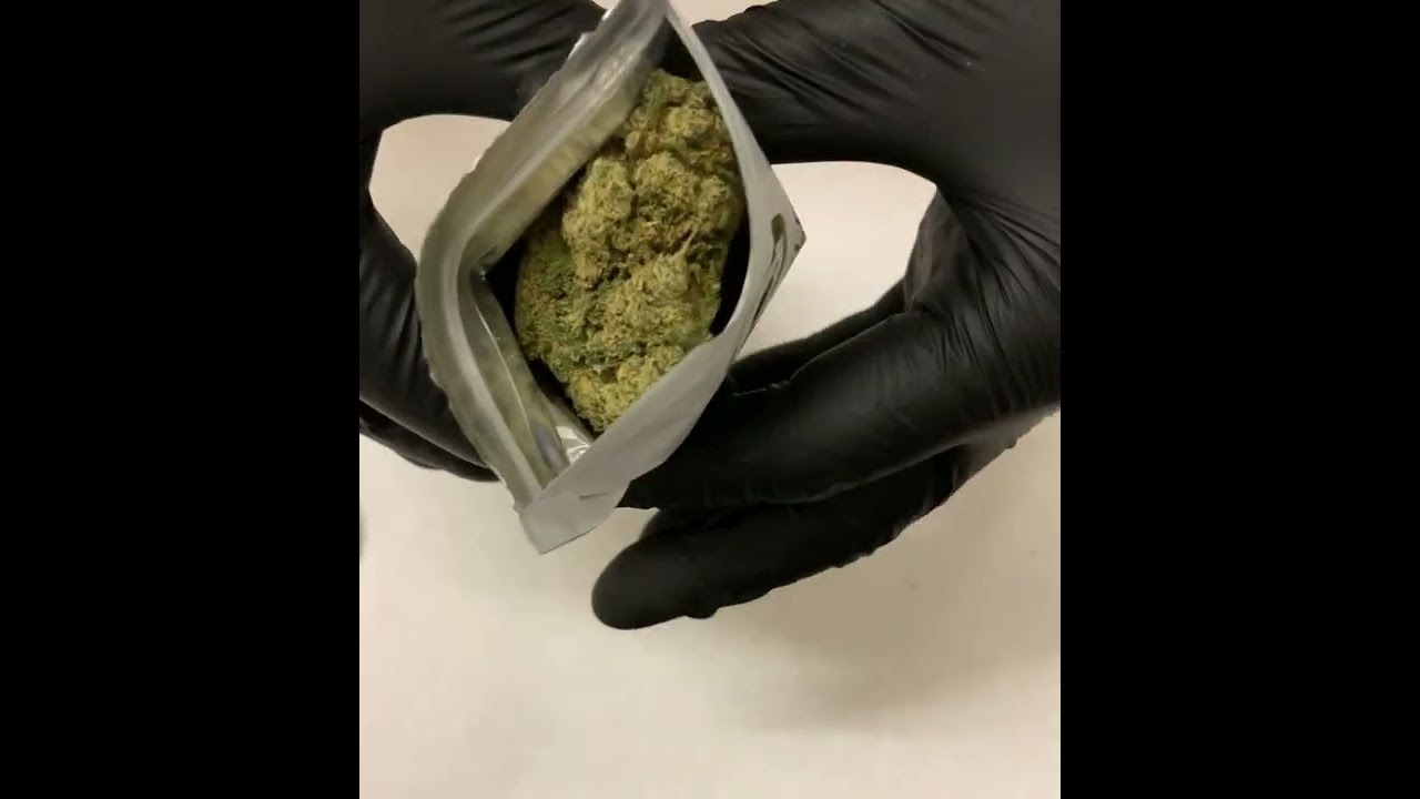 CBD Crazy Harlequin