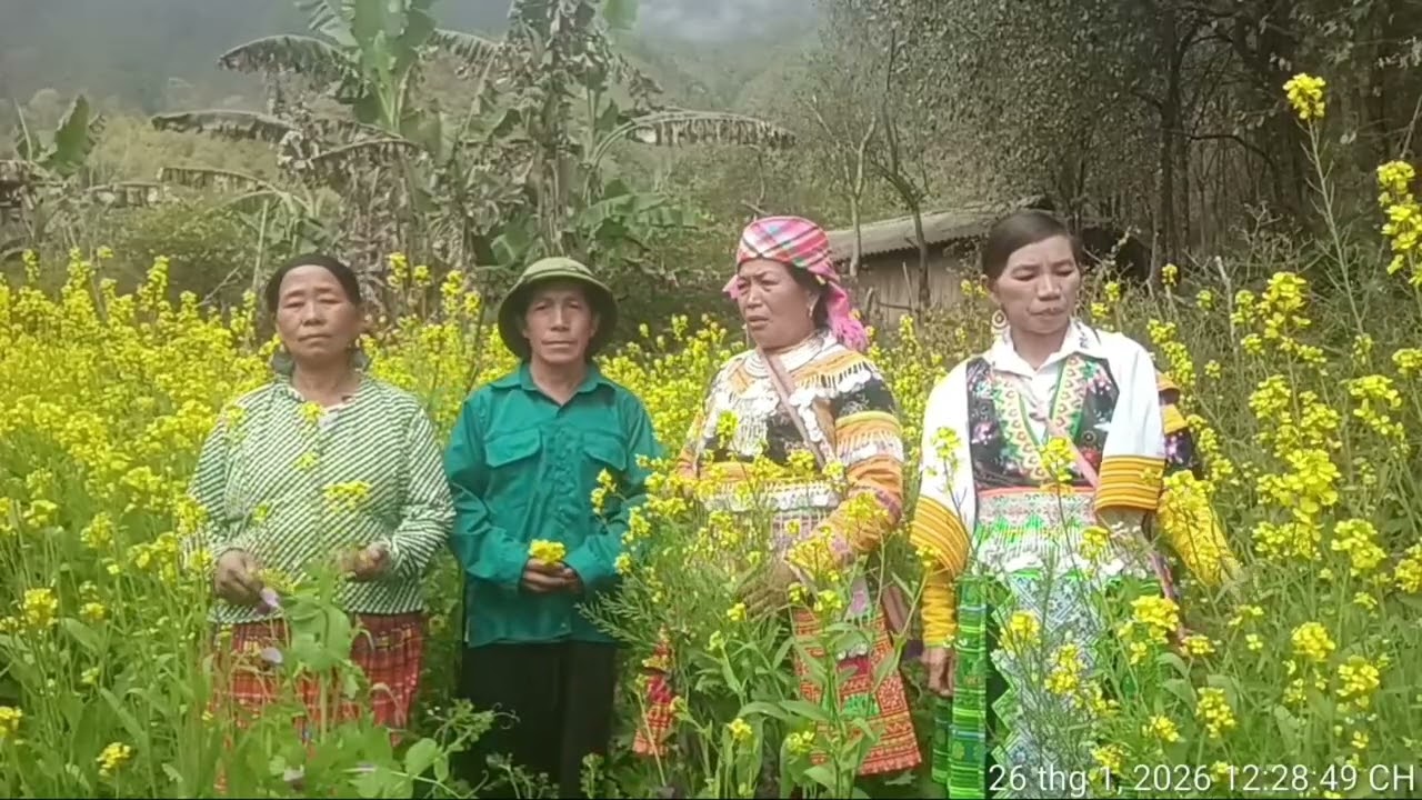 1 tháng 2, 2026
